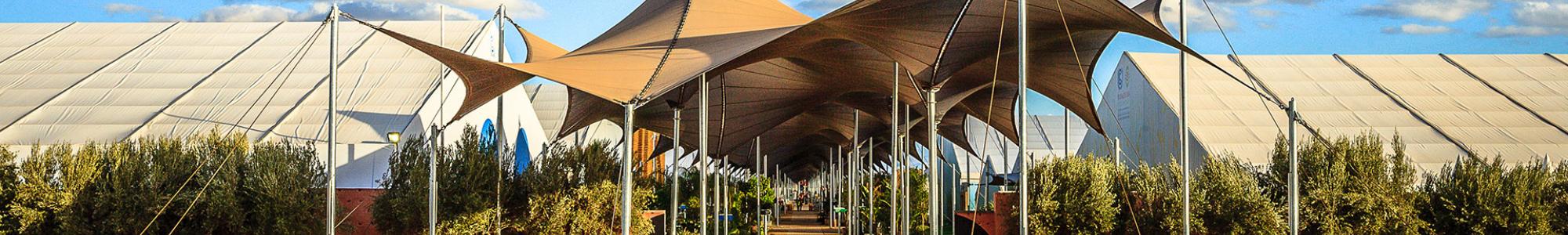 Toldo